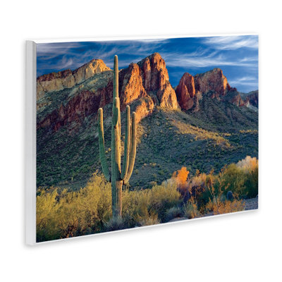 Plaque murale Found You Cactus in Canyon, design par Mike Jones