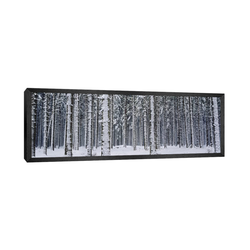 Snow Covered Trees In A ForestAustria by Panoramic Images - Panoramic Gallery-Wrapped Canvas Giclée on Canvas