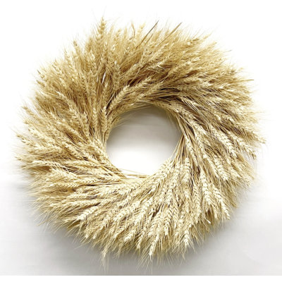 Preserved Natural Blonde Wheat 22" Fall Wreath