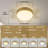  24“ Dimmable Sunburst LED Flush Mount Ceiling Light-723095627