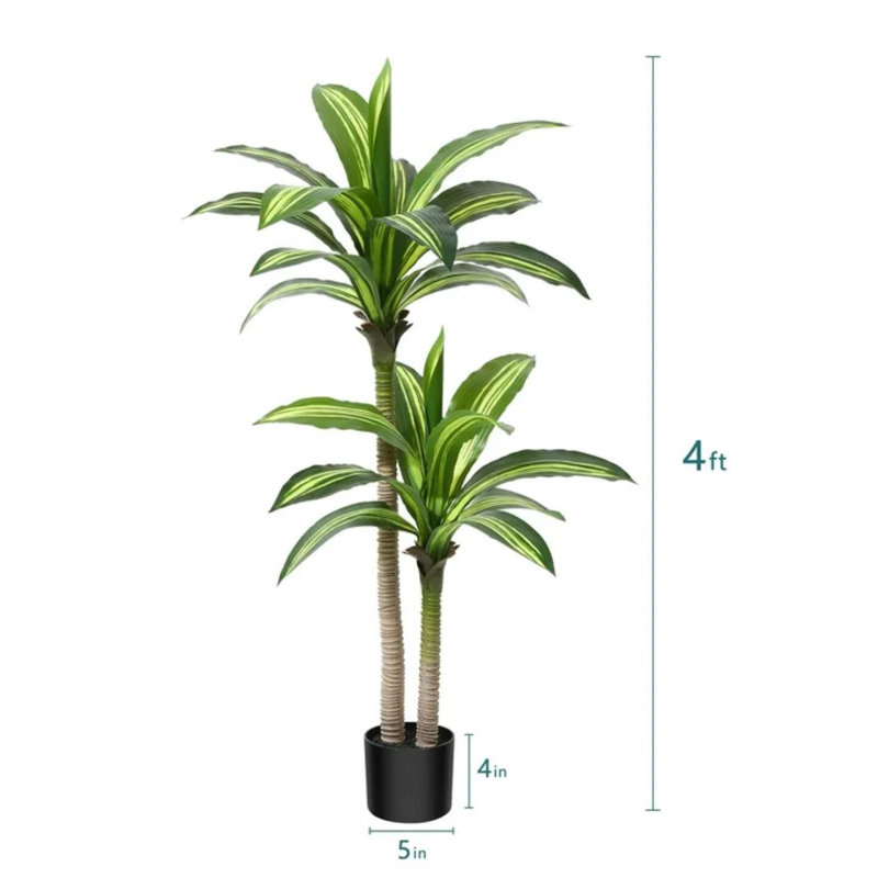 Arbre Dracaena 4 pi 4 po