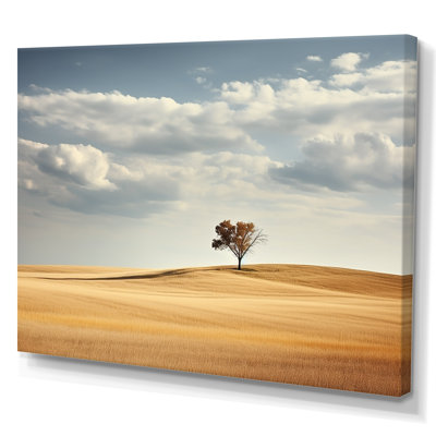 " Prairies Endless Horizons I "