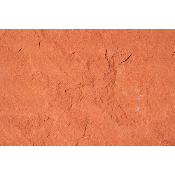 Morning Glory 12" x 12" Sandstone Stone Look Wall & Floor Tile