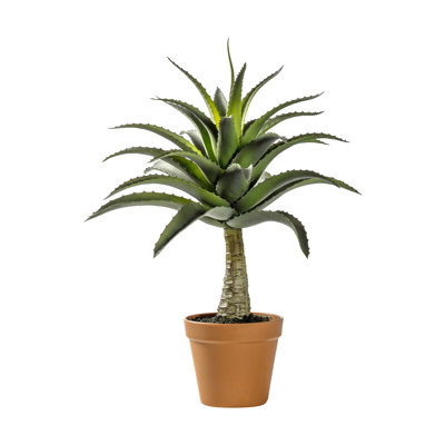 57cm Faux Succulent Plant in Pot Liner