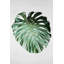 Feuille Monstera - Toile verte pour la décoration intérieure