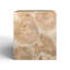 Mitzi Solid Wood End Table-264107672