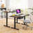 Mailany Adjustable Metal Base Standing Desk