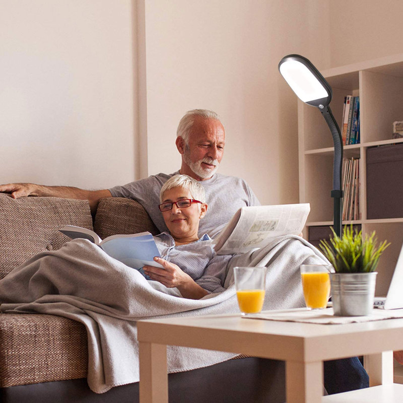 Litespan Daylight LED Floor Lamp with Adjustable Reading Light, Brown