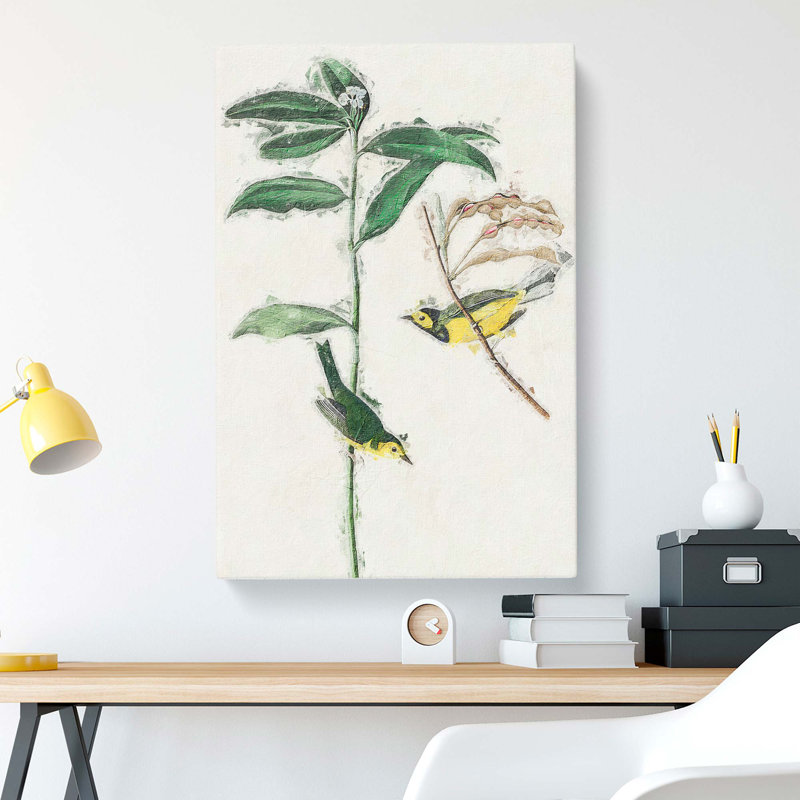 Hooded Warbler Birds by John Audubon - Wrapped Canvas, 60cm H x 40cm W x 3cm D