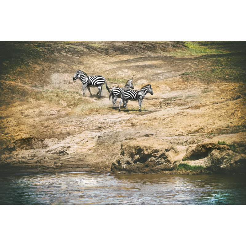 African Plains VI - Photograph, 61 cm H x 91 cm W, Black Floater Framed