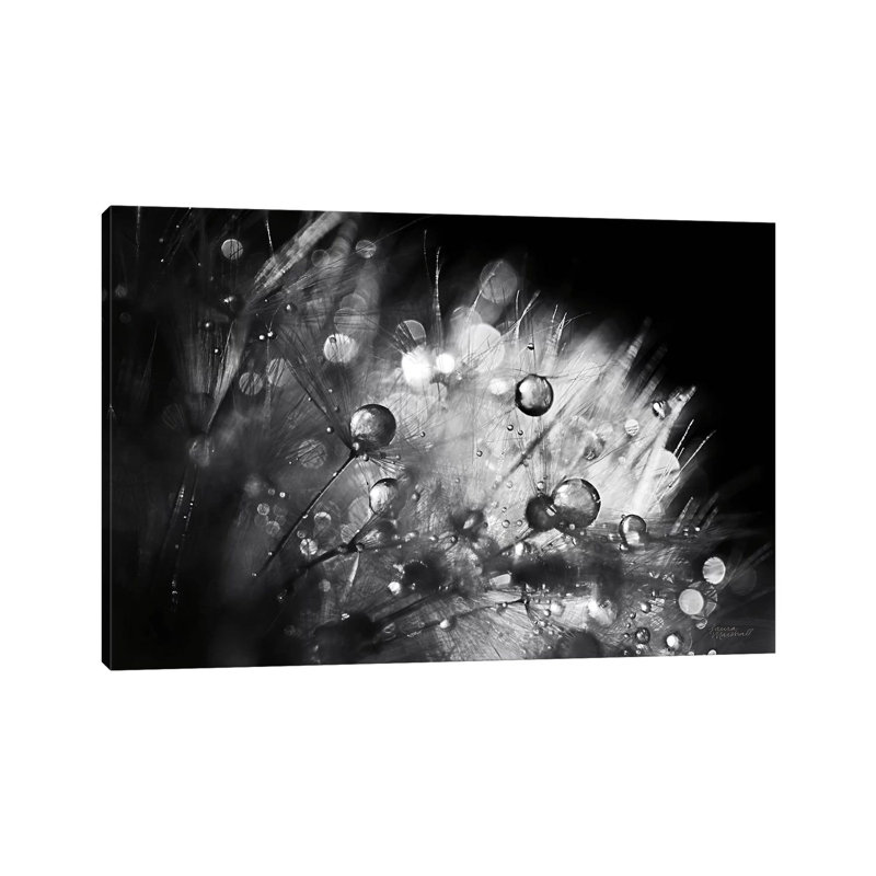 Dandelion Abstract I by Laura Marshall - Wrapped Canvas Gallery-Wrapped Canvas Giclée, 20.32 cm H x 30.48 cm W