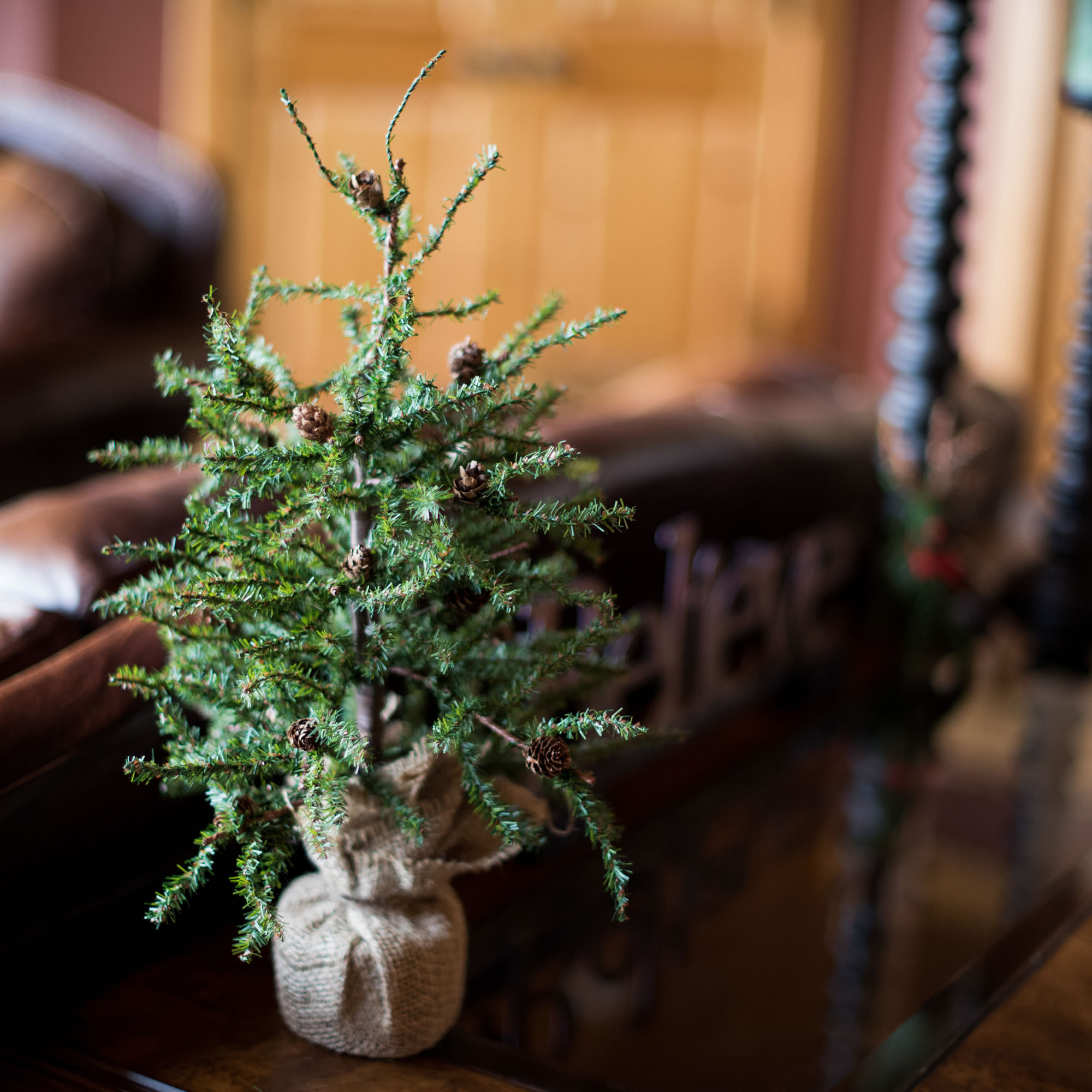 Eastport Pine Artificial Christmas Tabletop Tree, 1.5' H, Unlit