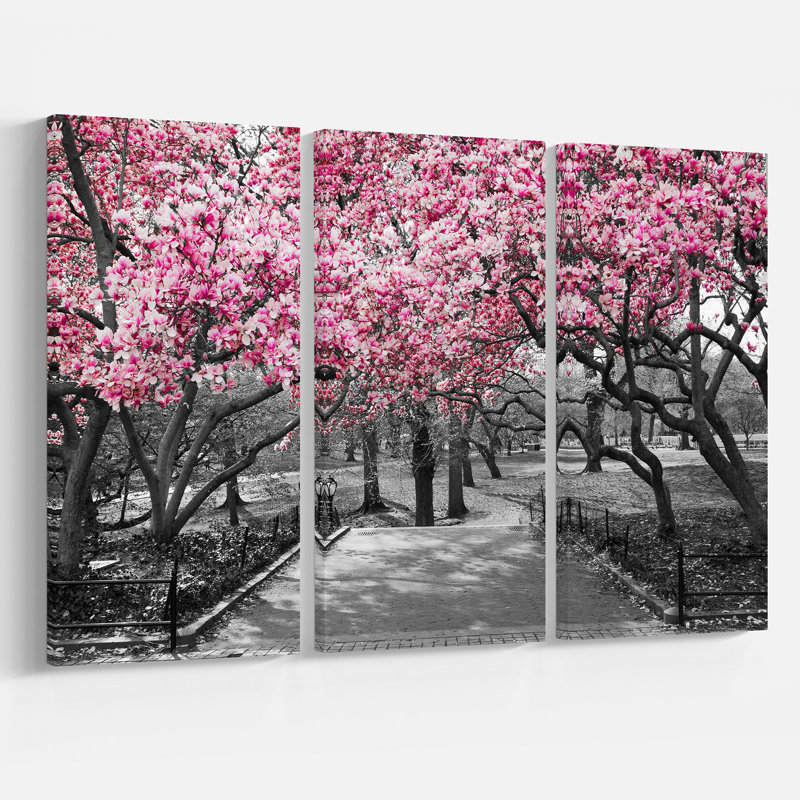 «Cherry Blossoms», reproduction de photo à multiples images sur toile tendue