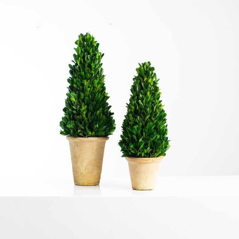 Faux Boxwood Topiary in Pot