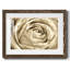 Fleur murale neutre IV-109224460-109224461