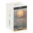 Metal Table Lamp