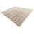 Ohlson Light Brown Rug