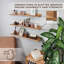 Natalynn 3 Piece Floating Shelf-599763055-599763041