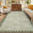 Area Rugs for Living Room Washable Rugs Non Slip Stain Resistant Bordered CarpetFoldable Rugs for BedroomDining RoomNursery-1091369615-1091369712