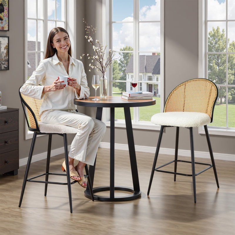 Modern Dining Chairs with Full Rattan Backrest, Farmhouse Armless Mesh Cane Back Fleece Side Chairs with Metal Legs for Dining, Living Room, Set of 2, Beige