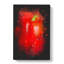 Solo Red Bell Pepper - Wrapped Canvas-64085906
