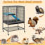 Cage avec rampe Mitcheldean-1896700474