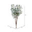 Jet d'eucalyptus