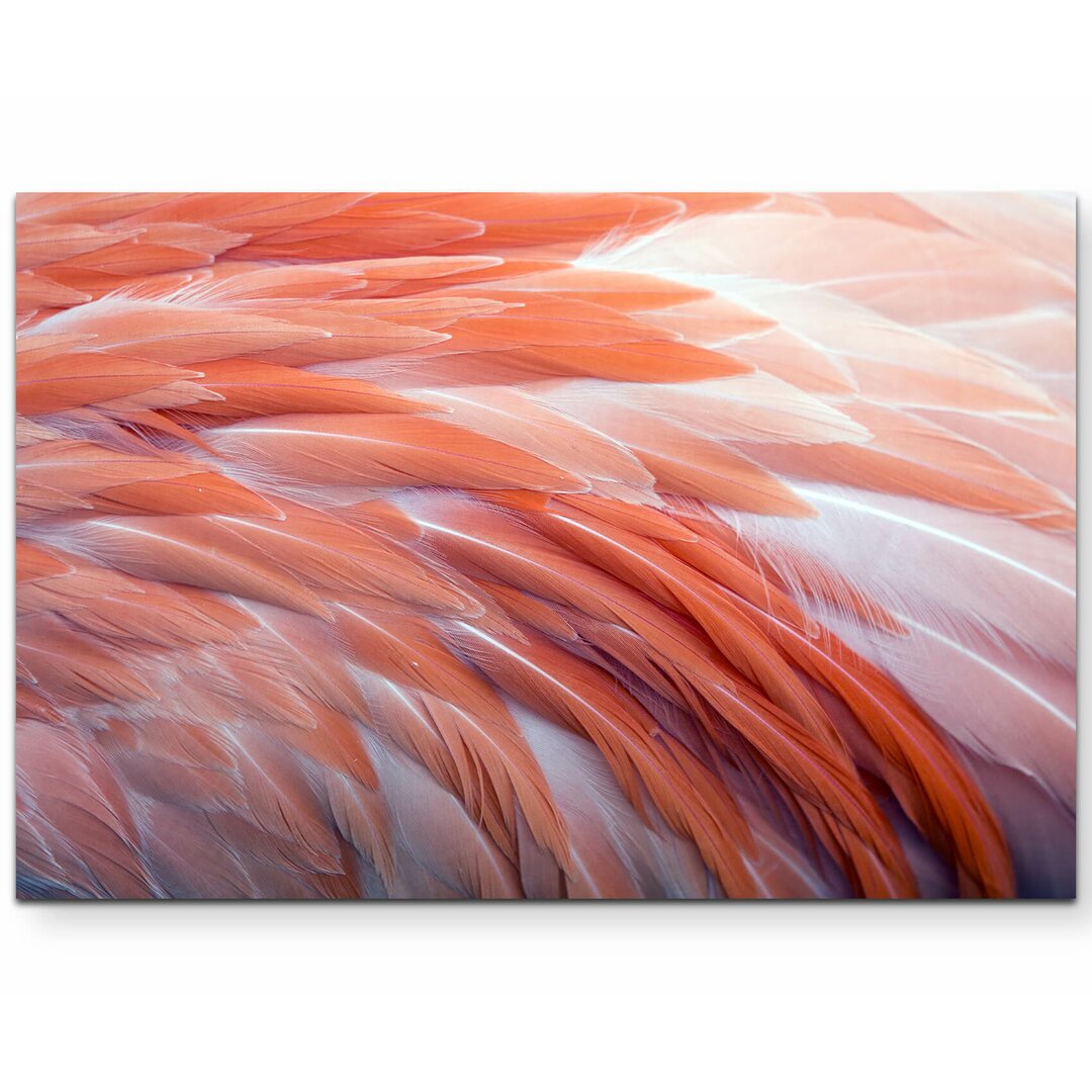 Leinwandbild Flamingo Federn