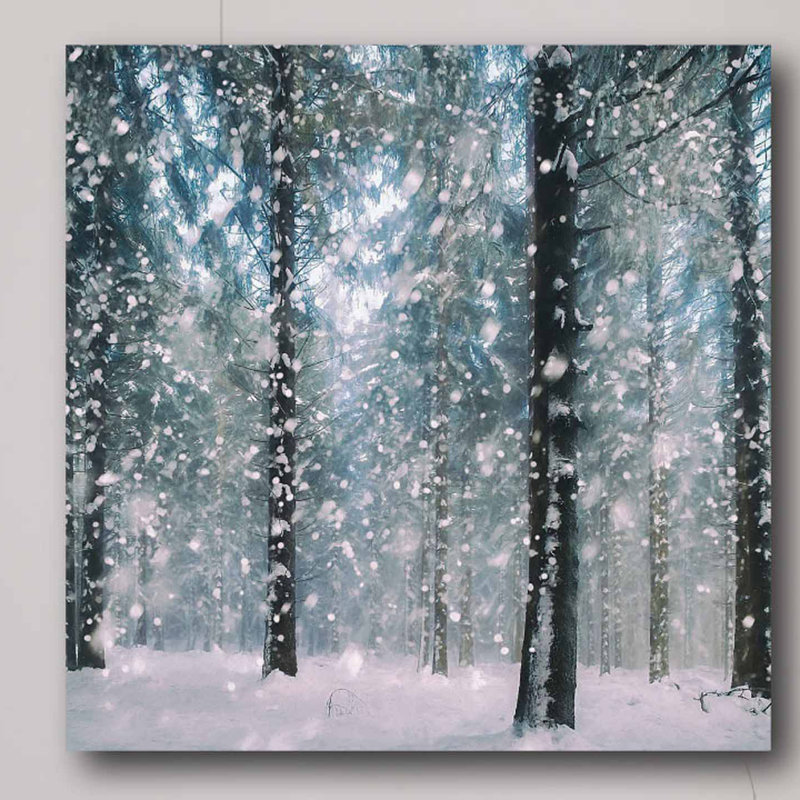 " Flakes "