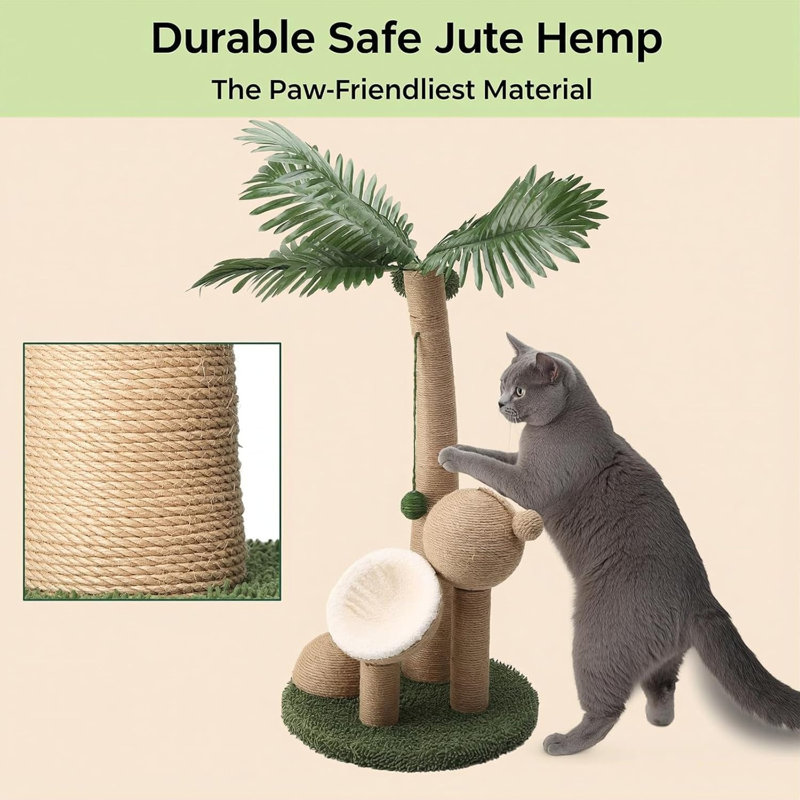 Scratching Post
