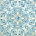 Blue/White