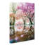 Reflection Of The Blossom Trees - Wrapped Canvas-55323301