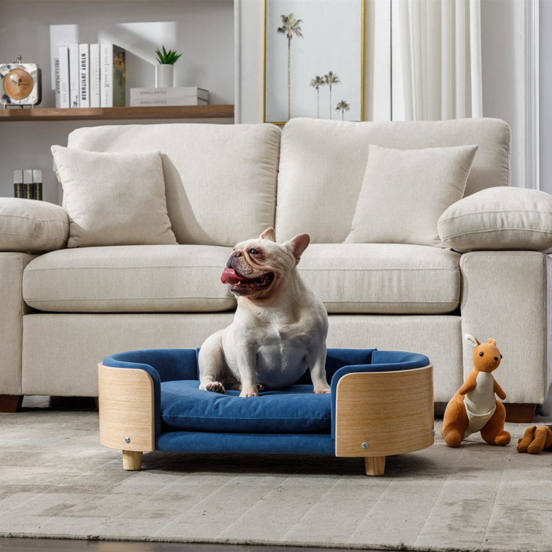 Canapé pour chien en bois massif Inira, Bleu foncé / naturel, L 26,77 po x P 11,02 po x H 38,58 po