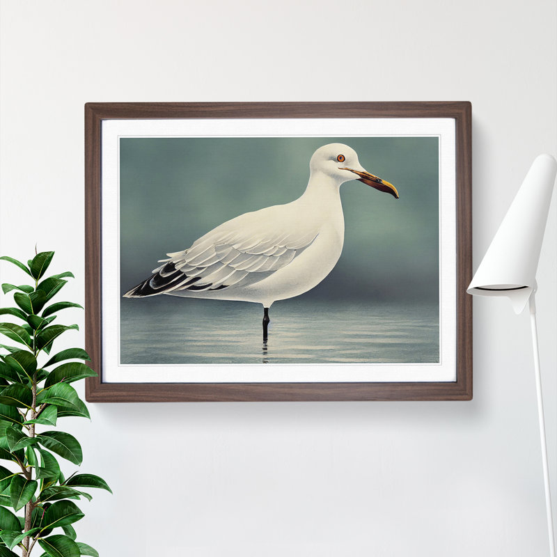 Seagull Portrait Vol.4 - Single Picture Frame Print, 46cm H x 64cm W x 2cm D, Walnut