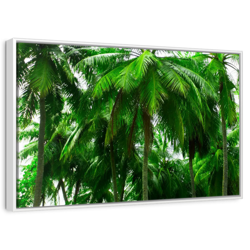 Palmier forêt, Cadre flottant blanc, 19 po x 13 po