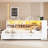 Daybed With Two Storage Drawers-1059950507