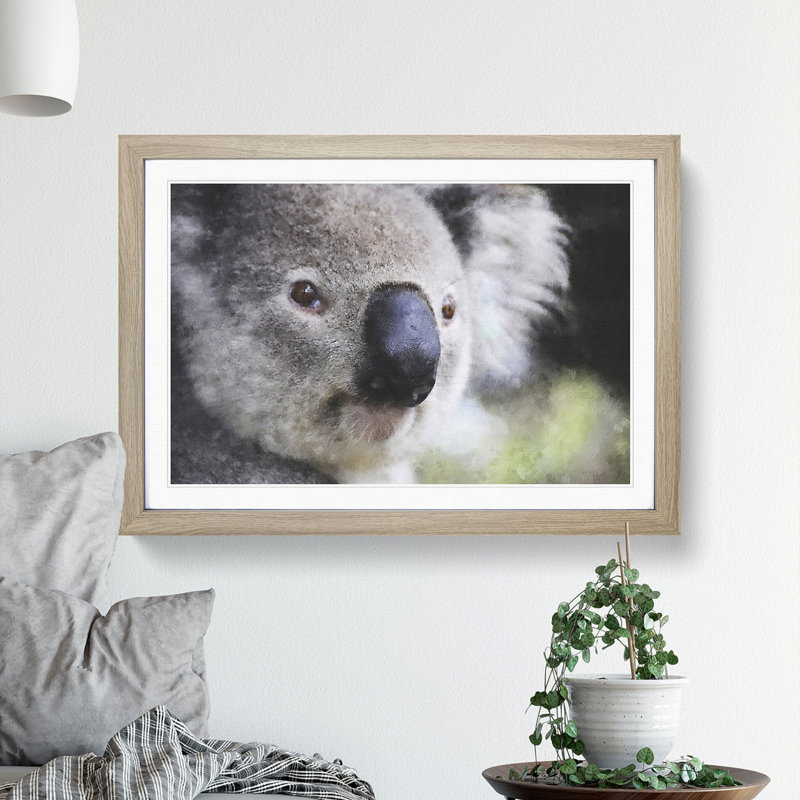 Koala Bear Vol.2 - Picture Frame Painting, 36cm H x 48cm W x 2cm D, Oak Framed