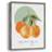 Orange Framed Print - Solid Wood-779985699