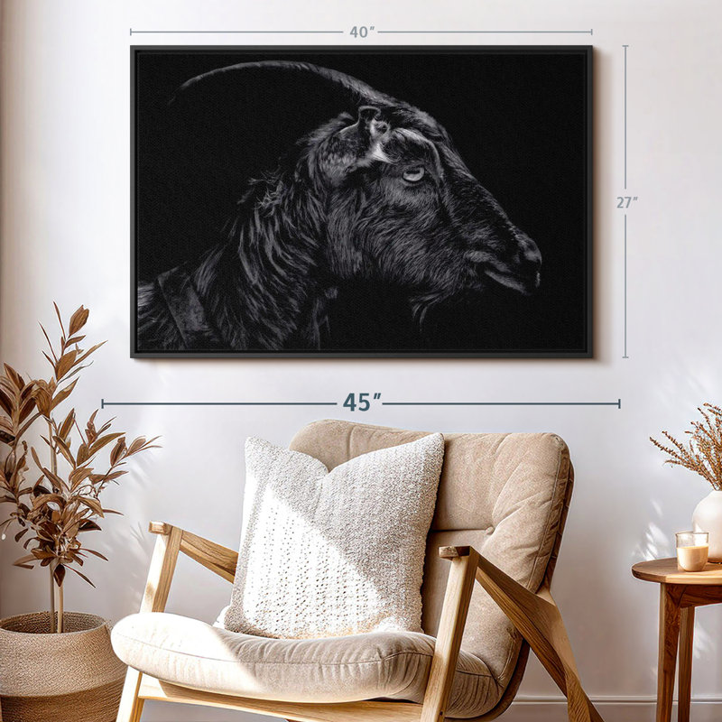 «Animal», impression sur toile «Chèvre cornue», H 27 po x l 40 po