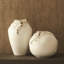 Vase de récif en cascade-blanc-court