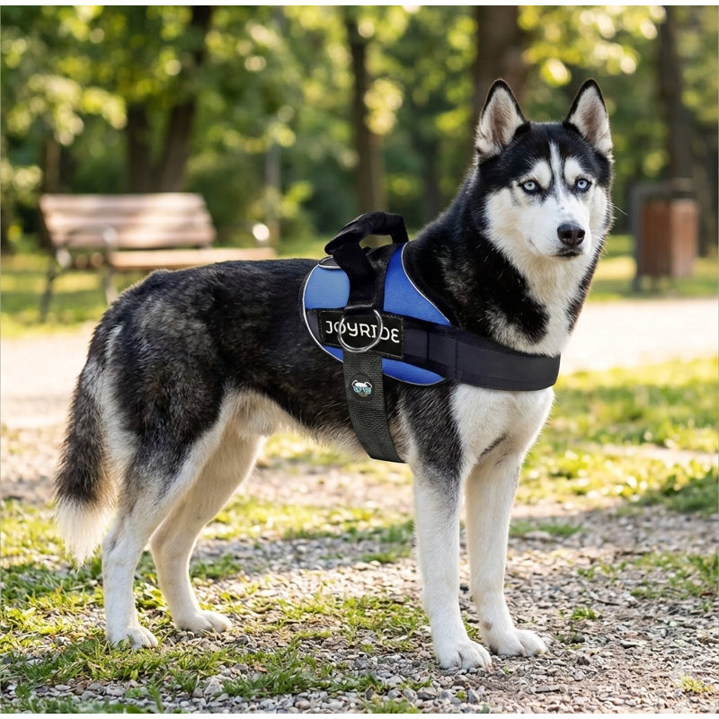 Anneau latéral sans harnais pour chien, sans étouffement, anti-évasion, gilet réfléchissant pour animal de compagnie avec 3 pinces pour laisse bleu et moyen