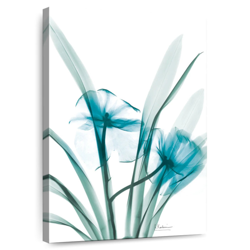 Orchidée Harnek Aqua Dedroduim, H 12 po x l 8 po