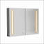W H Medicine Cabinet Mirror