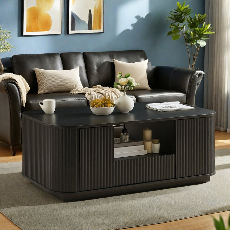 Table basse ovale moderne avec rangement, Noir