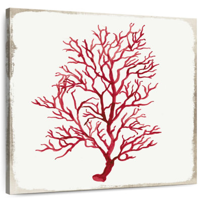 Coral II