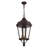 Anguel 3 - Light Outdoor Hanging Lantern-1755138250