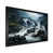 Black Single Picture Framed