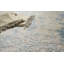 Roset Abstract Area Rug-28585919