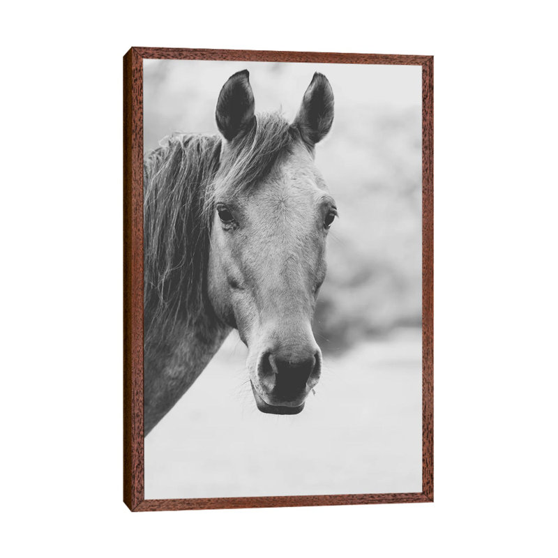 Wild Heart by Ann Hudec - Print on Canvas, Classic Brown Wood Framed, 66.04cm H x 45.72cm W x 3.81cm D