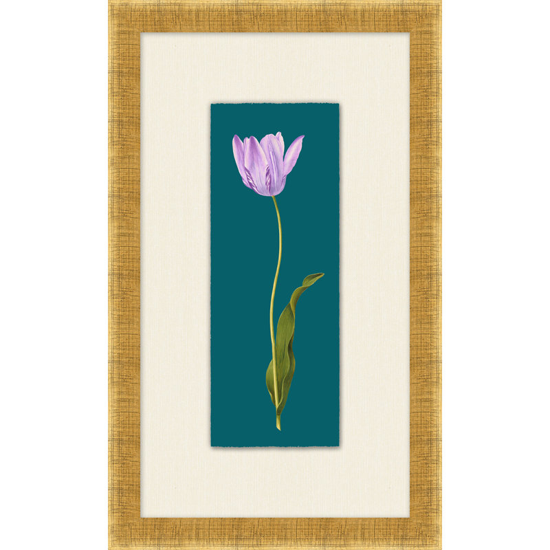 Tulipa Gesneriana 3 Print by Lillian August